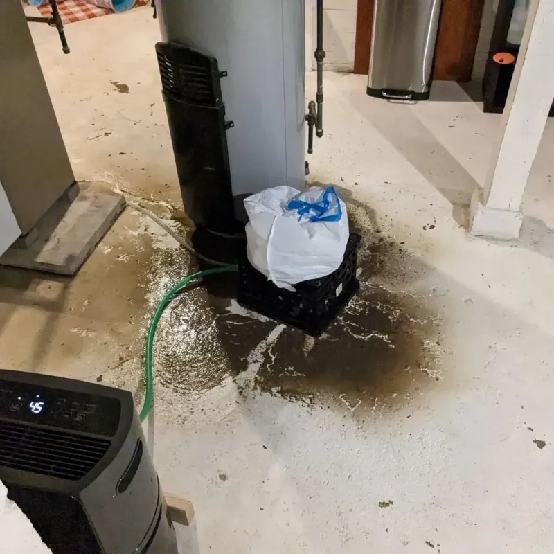 Sewage Backup Cleanup Service in Mount Zion, GA